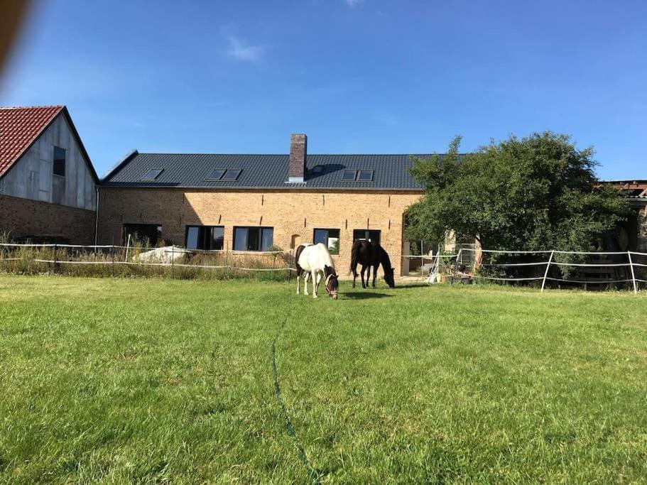 Ferienwohnung Zossen Gaestehaus Extérieur photo