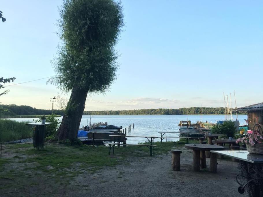 Ferienwohnung Zossen Gaestehaus Extérieur photo